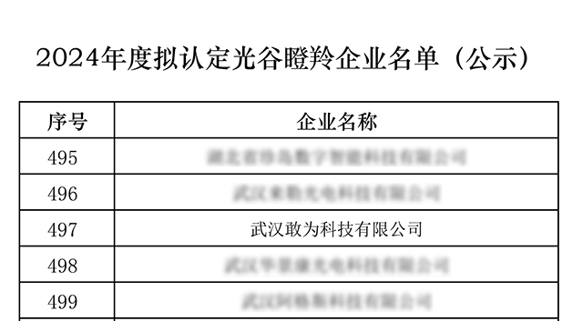 光谷瞪羚.jpg 光谷瞪羚.jpg